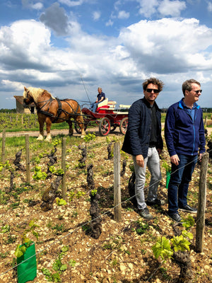 Jean Guiton Beaune 1er Cru Les Sizies 2022