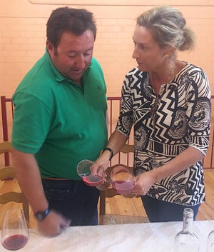 Traslanzas Tinto 2015